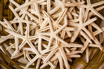 Fototapeta na wymiar Group of Exotic Starfish in a Steaw Basket, texture and background