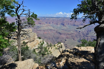 The Grand Canyon National park in Arizona in late summer