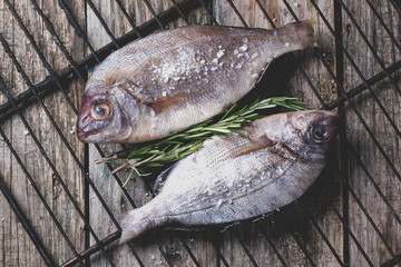 Tow raw dorado fish with rosemary on grill