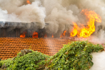 Fototapeta premium Brand Kaufhalle Guentersberge