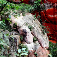 Hand of Buddha Sculpted on Mountain Rock at Le    Shan of China