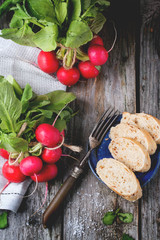 Fresh radishes with bread