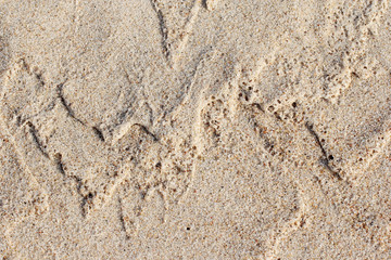 Waves of sand formed by wind