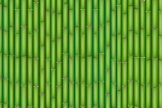Green Bamboo background. 