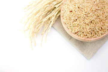 brown rice on the wooden plate and rice plant with copy space on white background