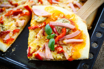 baked pizza