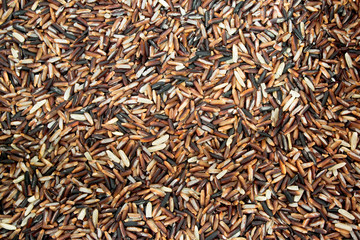 Uncooked brown rice grains background