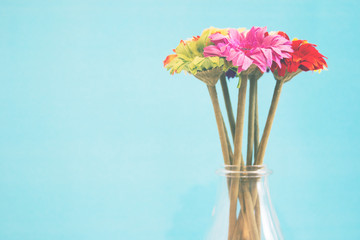 flowers on blue background with copy space - soft light effect