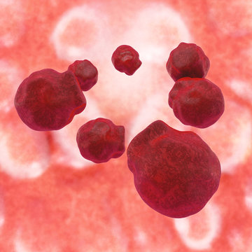 Chlamydia trachomatis - 3d rendered illustartion macro shoot