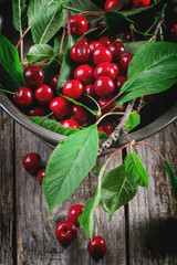 Bowl of fresh cherries