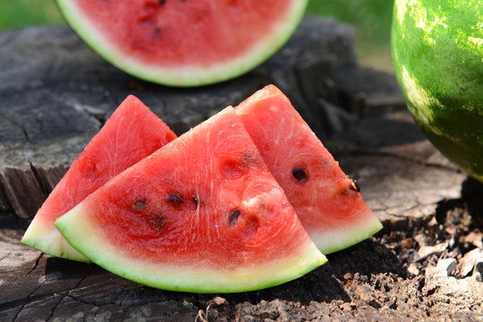 Fresh watermelon on stump of tree, closeup