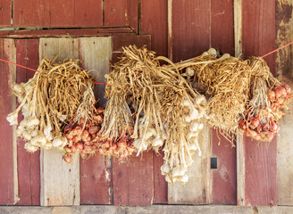 Garlic and shallots are tied together and then hung on a rope. Is a collection of Thailand.