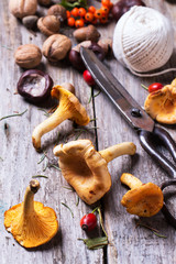 Chanterelle mushrooms with old scissors
