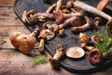 Mix of forest mushrooms