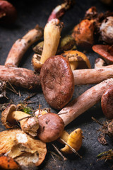 Mix of forest mushrooms