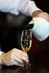 Bartender pouring champagne into glass, close-up
