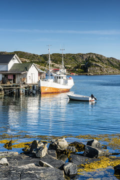 Fototapeta Fishing boat moored in the fishing port.  Lofoten arcghipelago.