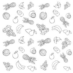 Seamless texture with fruits and berries. Vector background