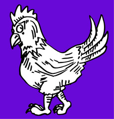 Chicken cartoon
