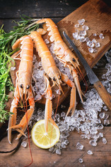 Langoustines on ice