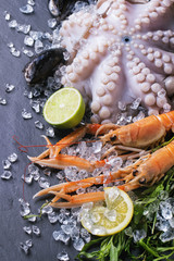 Langoustines and octopus on ice © Natasha Breen