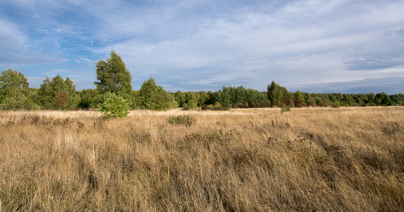 Jesienne lasy © Zbyszek Nowak