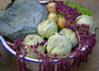 Erntedank - Kohlkopf, Kohlrabi, Zwiebeln und Kopfsalat