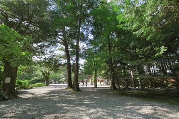神社境内のカップル