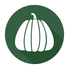 Halloween pumpkin icon