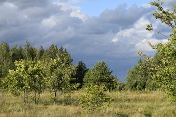 луга у Волги