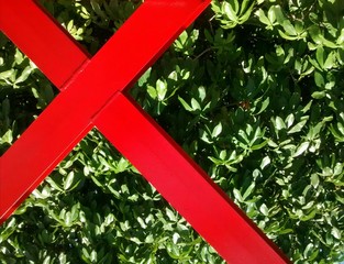 Verde com cruz vermelha