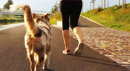 Papier Peint photo Jogging Jogger mit Hund