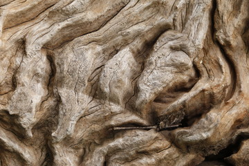 texture  of wood and stone
