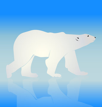 Bear on ice logo