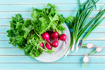Radish on plate and spring onions against rustic wooden turquois