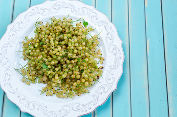 Fresh white currant on plate on rustic wooden turquoise background