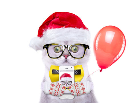 Smart And Beautiful Cat In A Christmas Costume Is Holding A Phone. New Year's Holidays