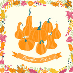 Pumpkin patch card design. 