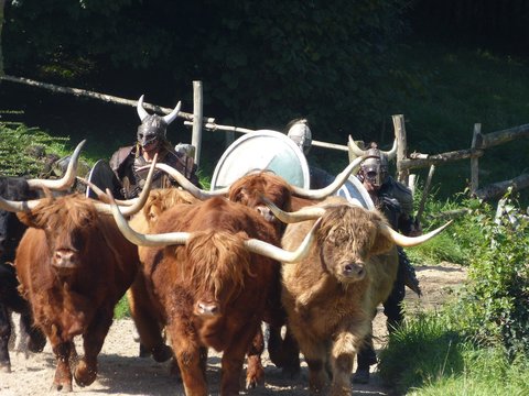 pillage viking