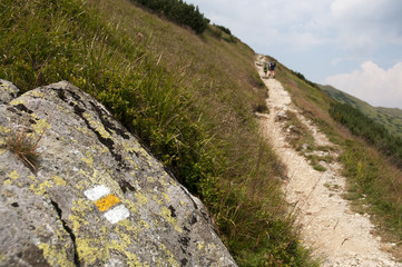 Żółty szlak  w górach