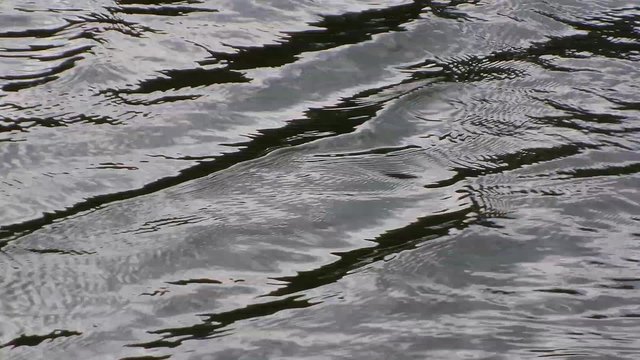 Lake water reflection