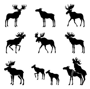 Set of Moose Silhouettes.