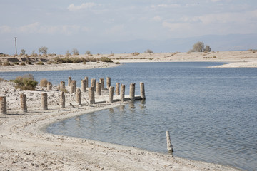Naklejka premium Only broken pylons remain from the pier in the Salton Sea Marina in California. 