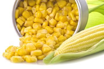 Grains of ripe corn extreme close up