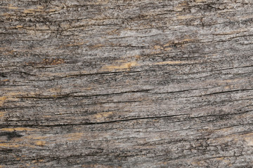 Old wooden background, close up