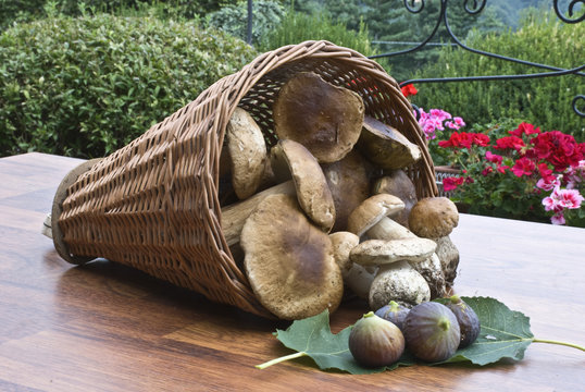 La gerla con i funghi e i fichi