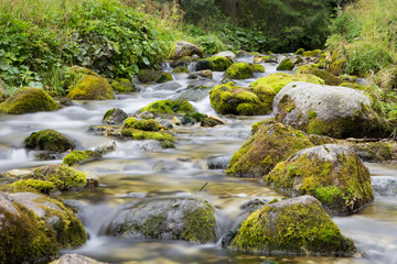 Mountain river with green rock