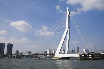 Fototapeta na wymiar Erasmus Bridge in Rotterdam
