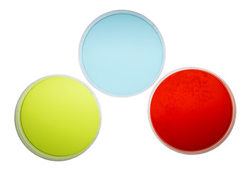 Petri Dishes with Colorful Agar
