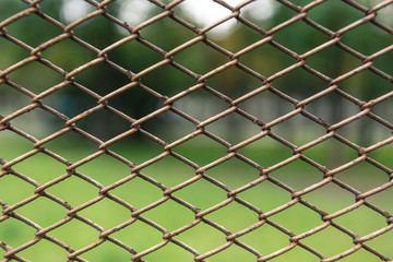 Metal net with green blured background